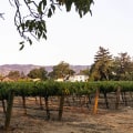 How to Discover the Best Local Winery and Vineyard in California for an Unforgettable Tasting Experience