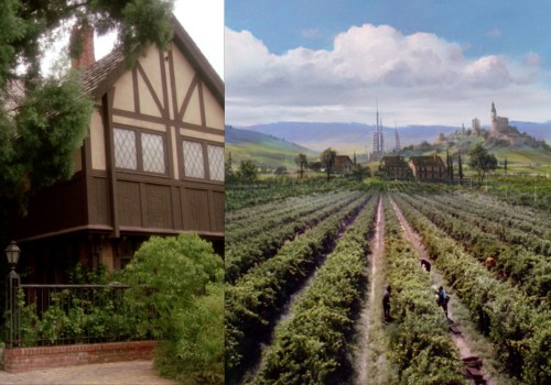 The Vineyard: A Filming Journey Through California's Wine Country