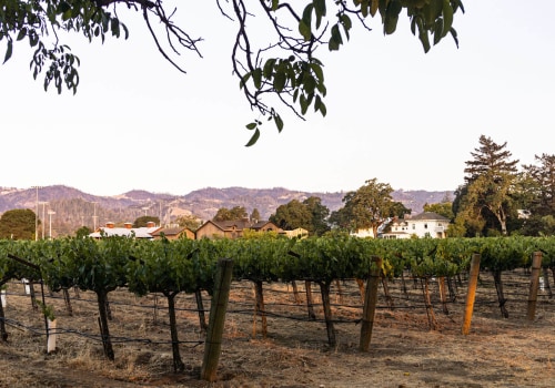 How to Discover the Best Local Winery and Vineyard in California for an Unforgettable Tasting Experience